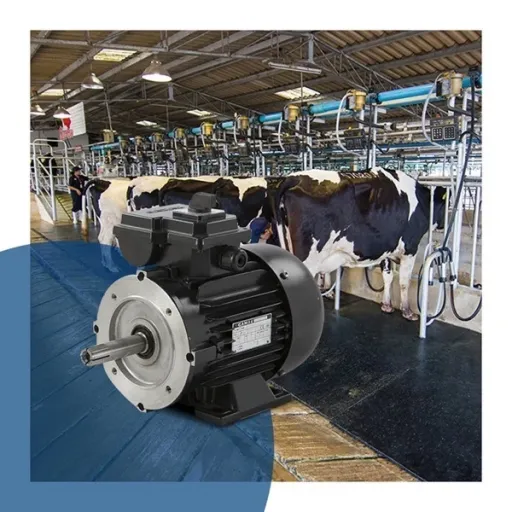 Süt Sağma Motorları