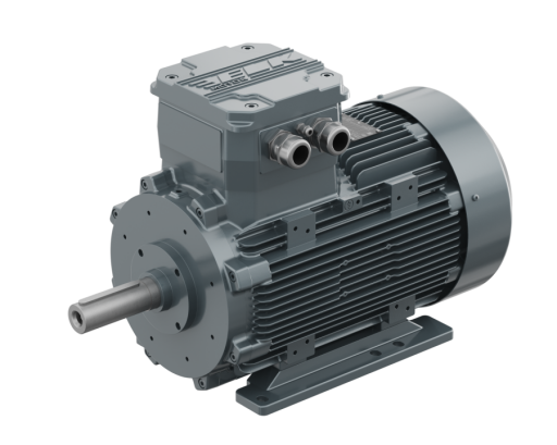 Zone 1-21 (Alev Sızdırmaz)