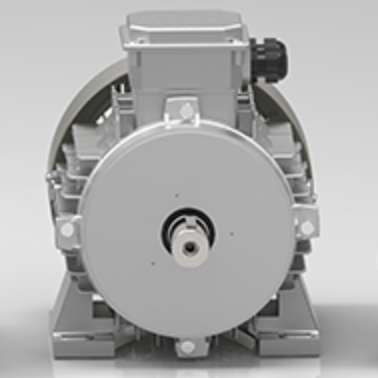 TX Serisi Ex-Proof Motorlar